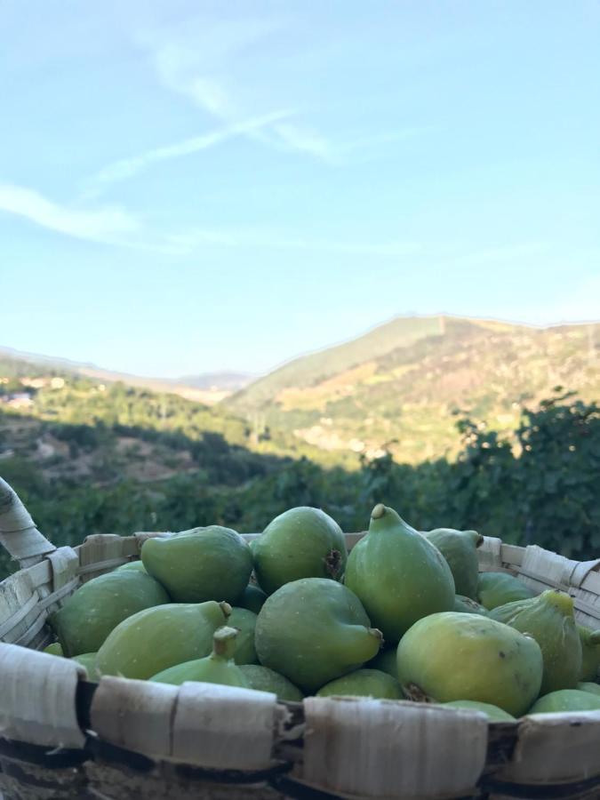 Private Douro- Quinta Das Susandas Mesão Frio Exterior photo